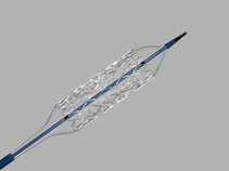 Formula 418 Renal Balloon-Expandable Stent